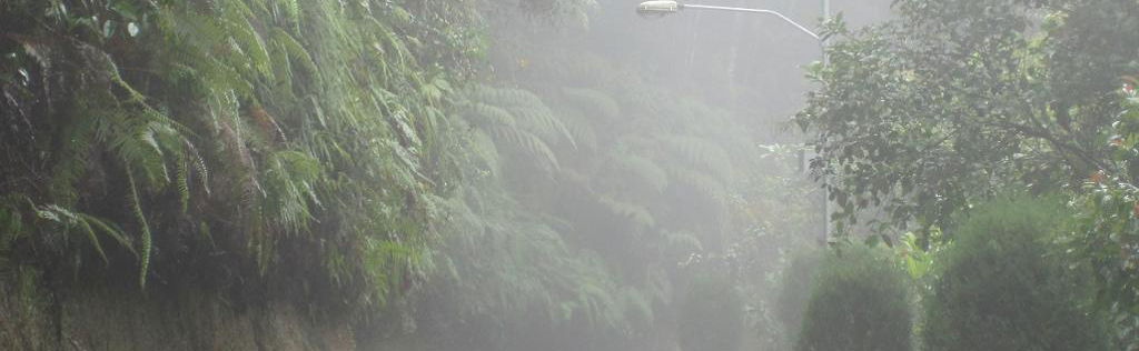 Forest Jewel: Frasers Hill and Colmar Tropicale and Japanese Garden - Private Tour - Foto 1