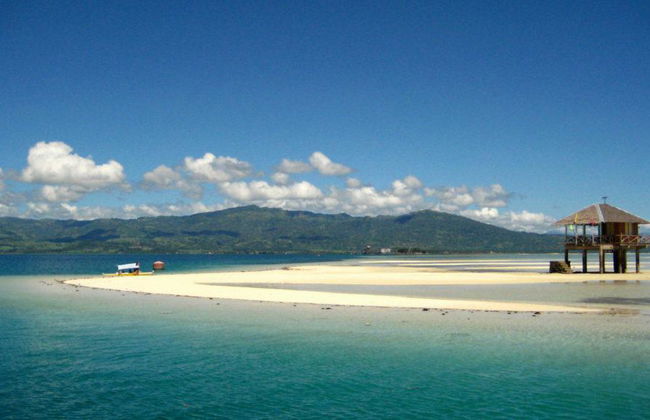 Dolphin Watching and Campuyo Sandbar - Private Tour - Photo 2