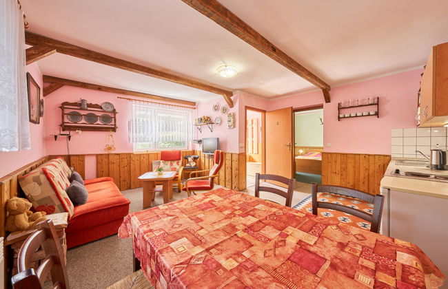 Apartamento de 1 quarto em Stárkov com piscina e jardim - Foto 10