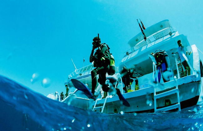 Nado con delfines en Sataya Reef - Excursión de esnórquel - Foto 3