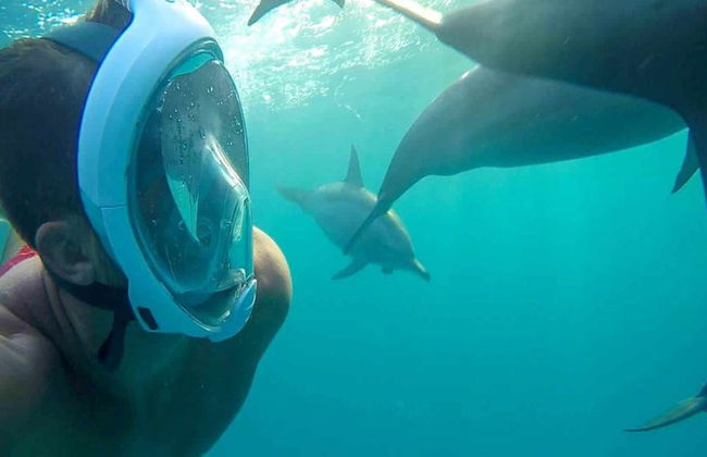 Nado con delfines en Sataya Reef - Excursión de esnórquel - Foto 2