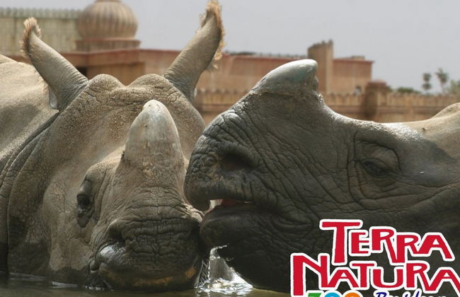 Terra Natura Benidorm - Foto 11