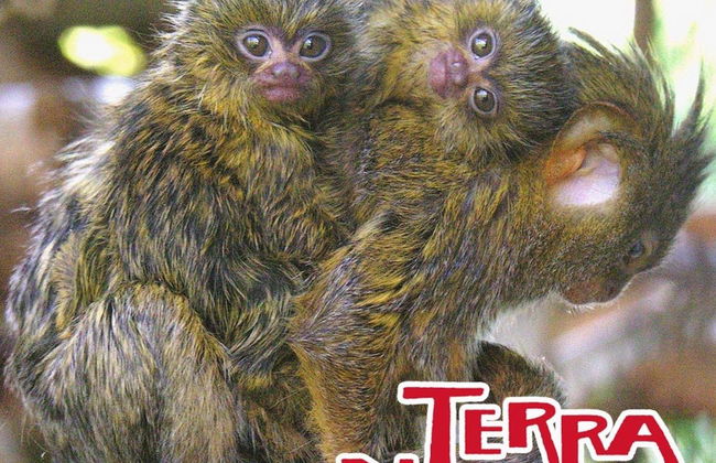 Terra Natura Benidorm - Foto 3