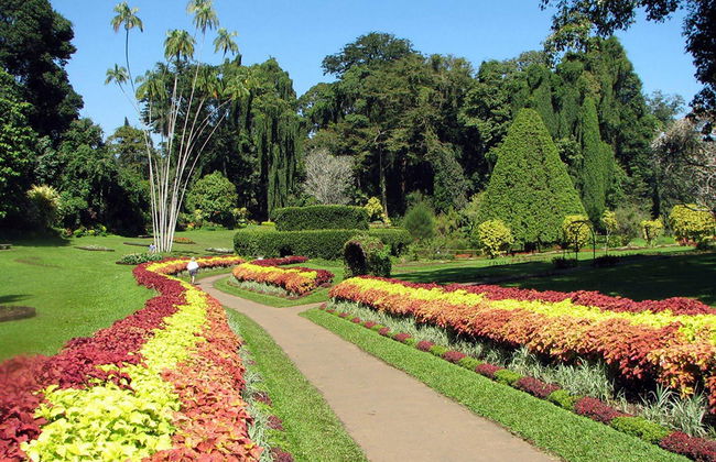 Discover Kandy City - Full-Day Tour - Photo 4