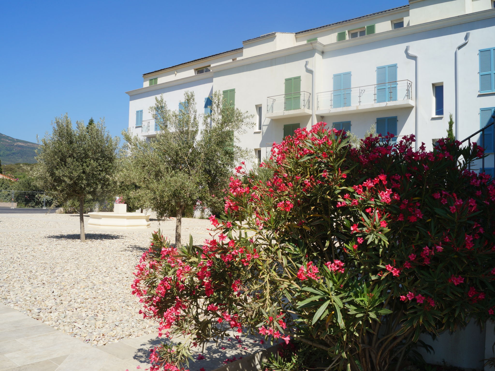 Foto 2 - Apartamento de 1 habitación en Rogliano con jardín y vistas al mar