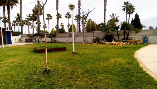 Apartamentos Mondrian Marina Dor 3000 - Foto 4