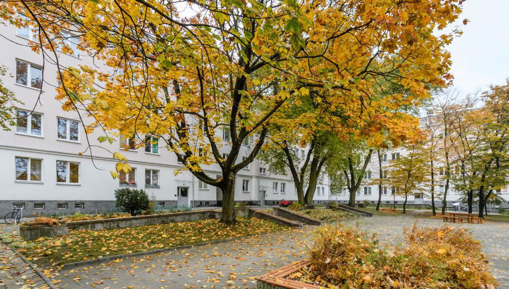 P&O Plac Wilsona - Foto 2