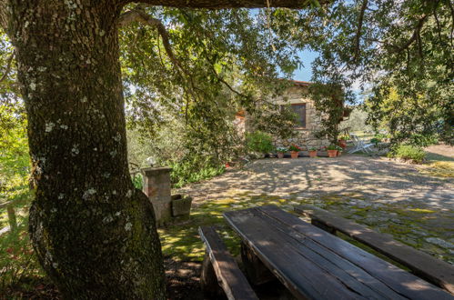 Photo 30 - Maison de 2 chambres à Roccastrada avec piscine privée et jardin