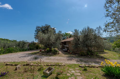 Foto 29 - Casa con 2 camere da letto a Roccastrada con piscina privata e giardino