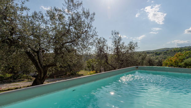 Haus mit 3 Schlafzimmern in Roccastrada mit privater pool und garten - Foto 2