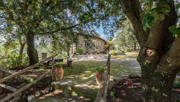 Haus mit 3 Schlafzimmern in Roccastrada mit privater pool und garten - Foto 4