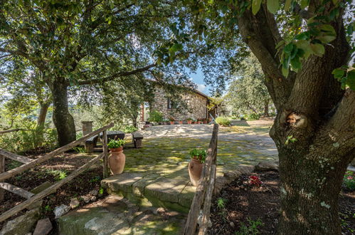 Foto 4 - Casa de 2 quartos em Roccastrada com piscina privada e jardim