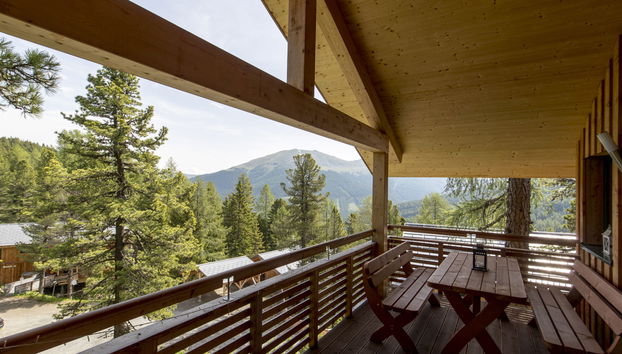 Haus mit 5 Schlafzimmern in Stadl-Predlitz mit garten und terrasse - Foto 4