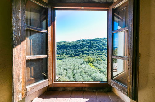 Foto 34 - Appartamento con 3 camere da letto a Greve in Chianti con piscina e giardino