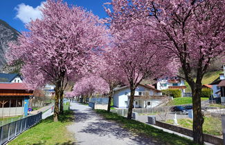 Photo 2 - 3 bedroom Apartment in Zams with garden and terrace