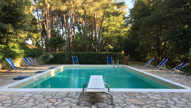 Casa con 3 camere da letto a Crespina Lorenzana con piscina e giardino - Foto 2