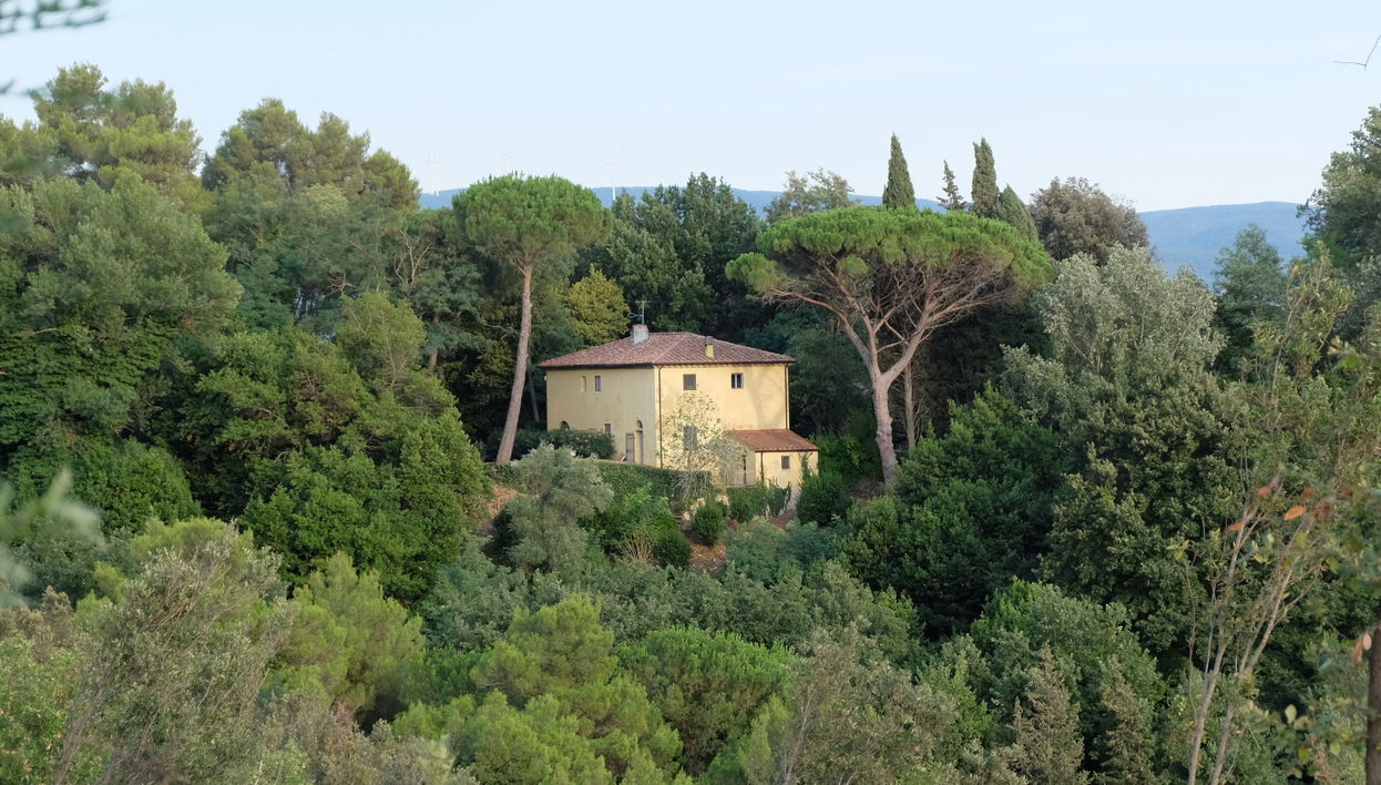 Casa con 3 camere da letto a Crespina Lorenzana con piscina e giardino - Foto 1