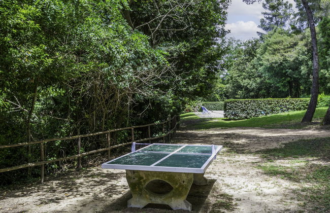 Casa de 6 quartos em Crespina Lorenzana com piscina e jardim - Foto 63