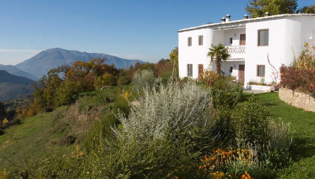 La Oveja Verde - Foto 4