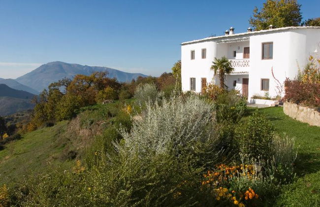La Oveja Verde - Foto 4