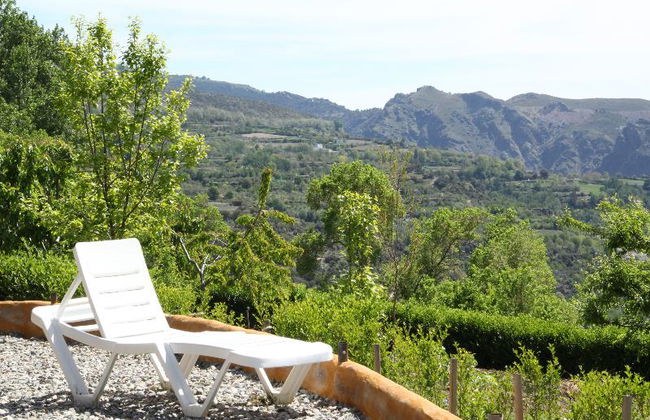 La Oveja Verde - Foto 5
