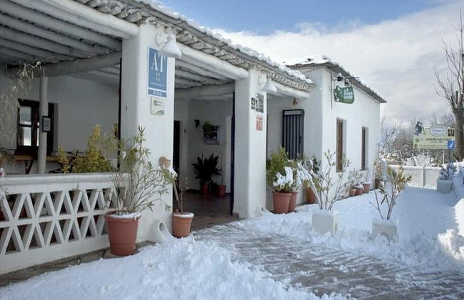 La Oveja Verde - Foto 2
