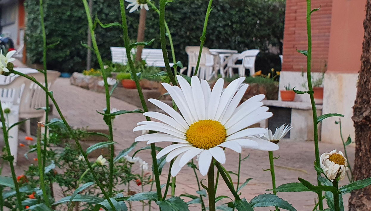 Villa Letizia - Casa Per Ferie - Foto 1