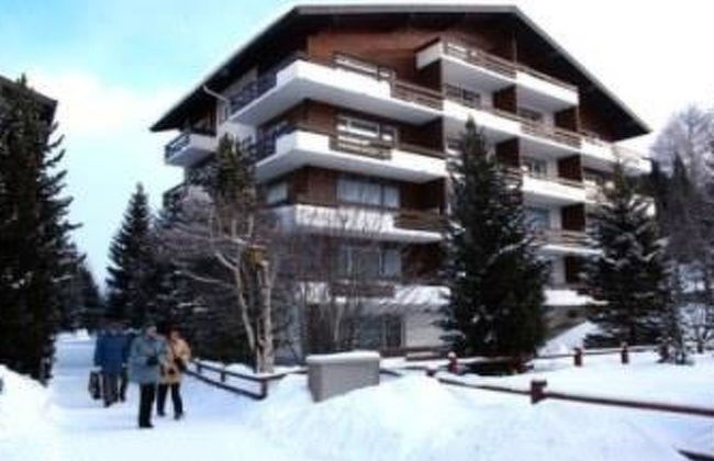 Apartamento de 1 quarto em Saas-Fee com jardim - Foto 1