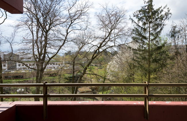 Apartment mit 1 Schlafzimmer in Lahnstein mit schwimmbad und sauna - Foto 18