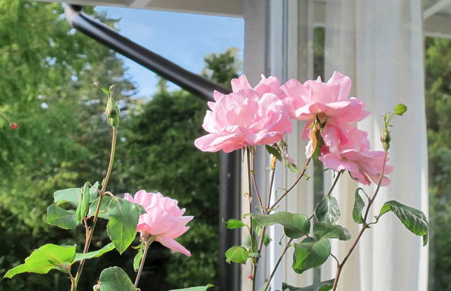 Casa de 3 quartos em Hornbæk com terraço - Foto 16