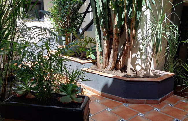 Apartamentos Monasterio de San Antonio Only Adults - Foto 17