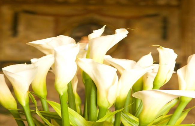 Mansion Del Rio - Foto 9