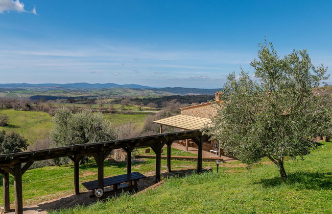 Haus mit 4 Schlafzimmern in Scansano mit garten und terrasse - Foto 20