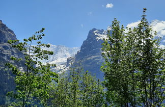 Foto 2 - Apartamento de 1 quarto em Grindelwald com vista para a montanha