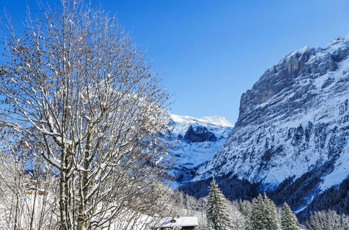 Foto 27 - Appartamento con 1 camera da letto a Grindelwald