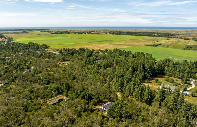 Casa de 4 quartos em Ålbæk com terraço - Foto 15