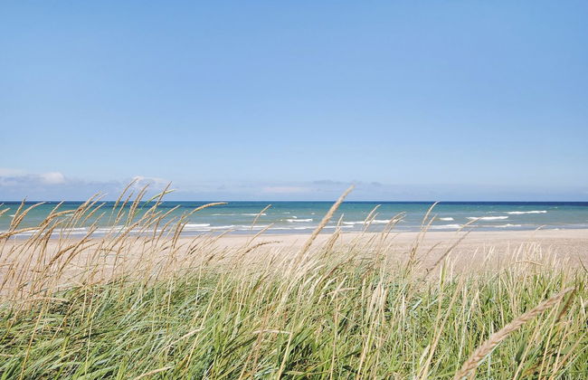 Haus mit 3 Schlafzimmern in Fjerritslev mit terrasse - Foto 4