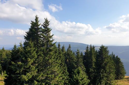 Foto 24 - Appartamento con 1 camera da letto a Janské Lázně con vista sulle montagne