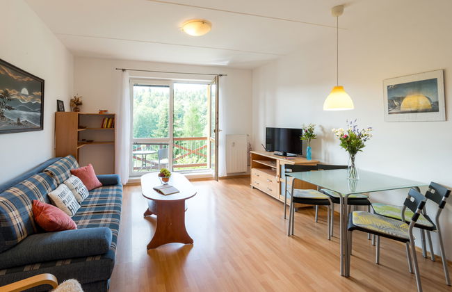 Apartamento de 2 quartos em Janské Lázně - Foto 1