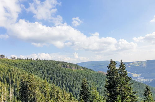 Foto 30 - Apartamento de 1 habitación en Janské Lázně con vistas a la montaña