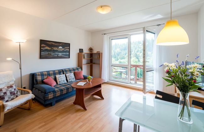 Apartamento de 2 quartos em Janské Lázně - Foto 6