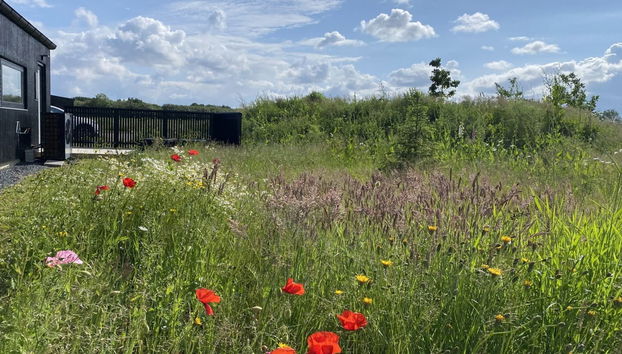 Casa de 4 quartos em Børkop com terraço e sauna - Foto 3