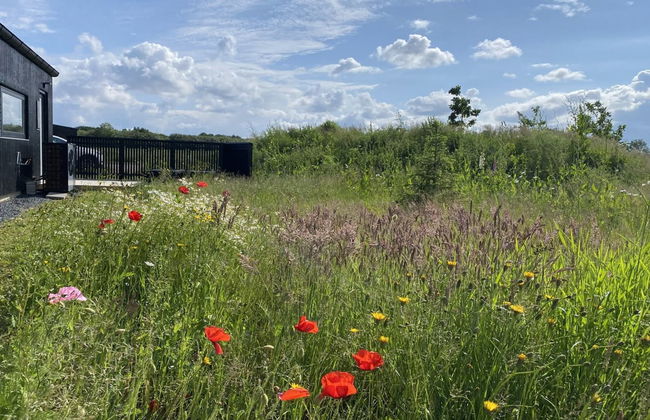 Casa de 4 quartos em Børkop com terraço e sauna - Foto 3