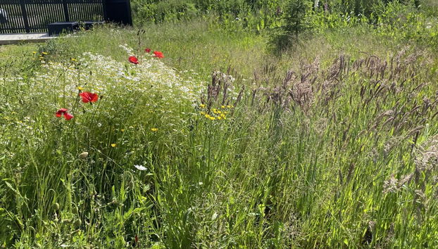 Casa de 4 quartos em Børkop com terraço e sauna - Foto 4
