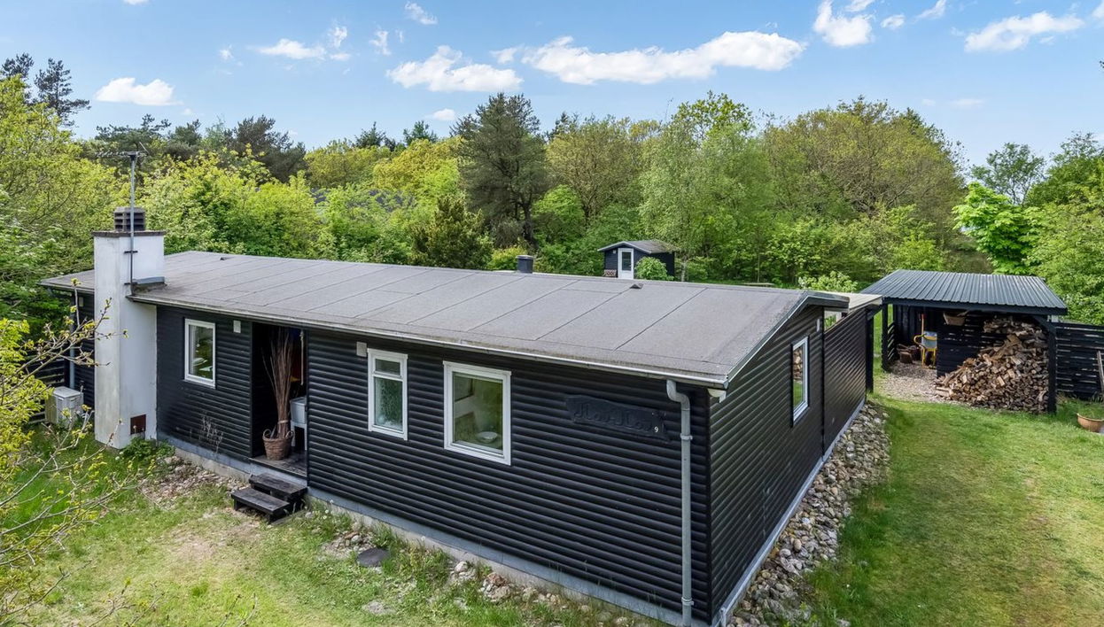 Haus mit 3 Schlafzimmern in Spøttrup mit terrasse und whirlpool - Foto 1
