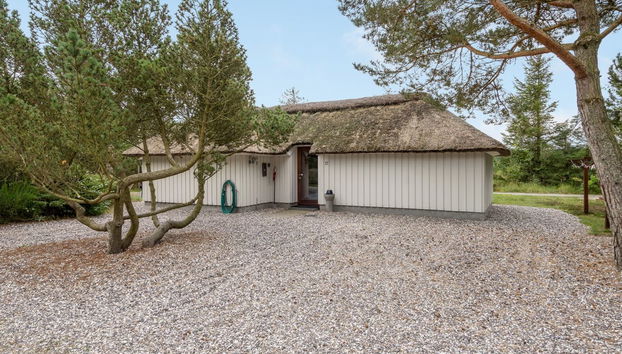Casa con 4 camere da letto a Fjerritslev con piscina privata e terrazza - Foto 3