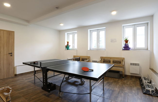 Apartamento de 1 quarto em Desná com jardim e terraço - Foto 13