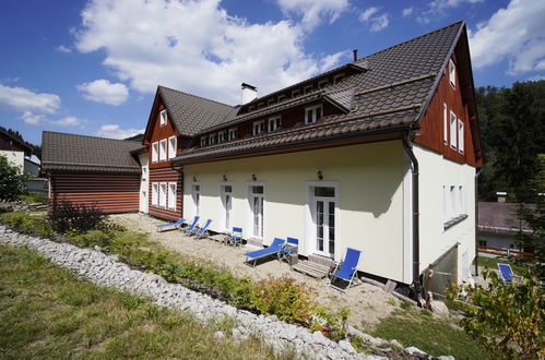 Photo 18 - Appartement en Desná avec bain à remous