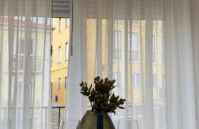 Timeless - O`Clock - Foto 8