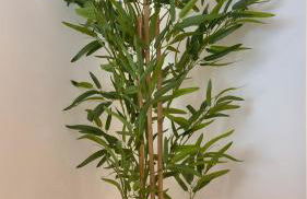 Timeless - O`Clock - Foto 13